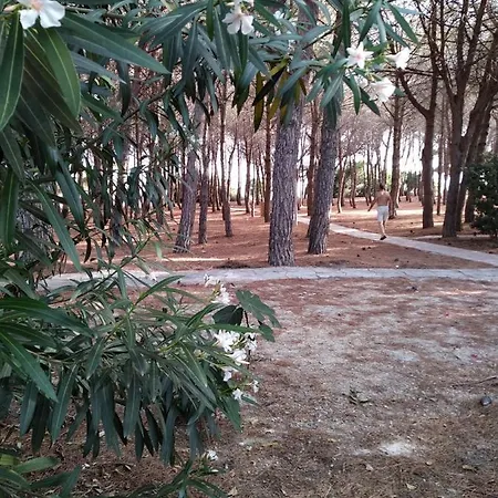 Ferienhaus Praialonga Kr Casa Vacanze Fronte Mare Le Castella (Calabria)